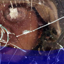 Bullet Resistant Glass